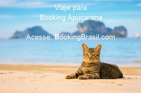Booking Apucarana